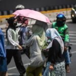 bmkg-ungkap-suhu-terpanas-ri-bisa-tembus-40-derajat-12_169.jpeg