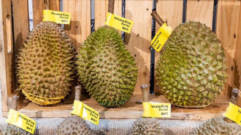 durian-musang-king_169.jpeg