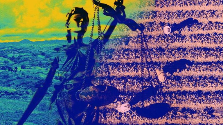 ekopedia-mengenal-tora-tanah-yang-akan-dibagikan-negara-ke-1-juta-warga-miskin-1764440503714_169.jpe