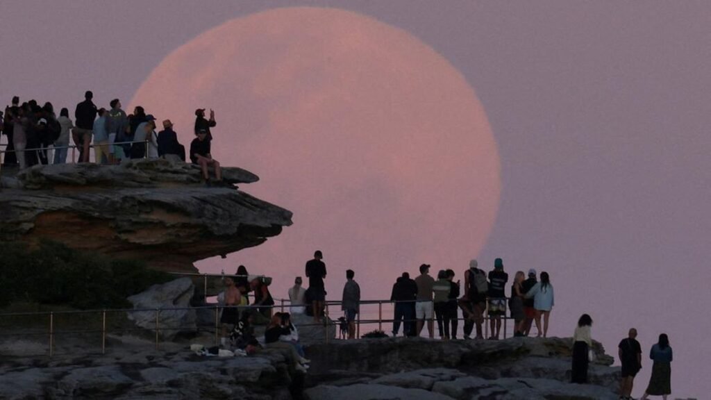 fenomena-beaver-moon-1762390532255_169.jpeg