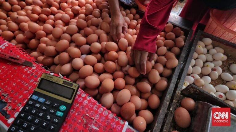 harga-telur-merangkak-naik-4_169.jpeg