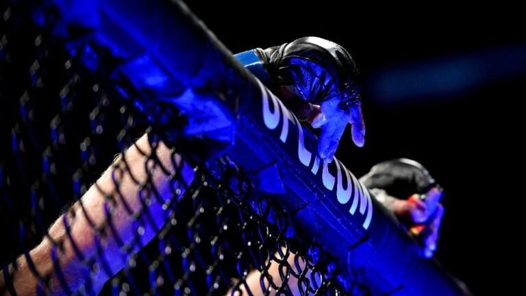 ilustrasi-ufc-1_169.jpeg