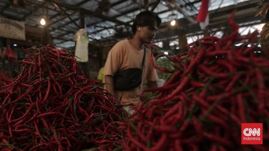 pedasnya-harga-cabai-capai-rp-110-ribu-per-kilogram-3_169.jpeg