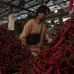 pedasnya-harga-cabai-capai-rp-110-ribu-per-kilogram-3_169.jpeg