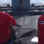 thumbnail-video-1762837791359_169.jpeg