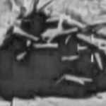 thumbnail-video-1763517289605_169.jpeg