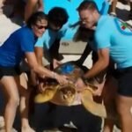 thumbnail-video-1764224745730_169.jpeg
