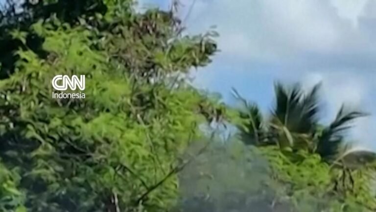 thumbnail-video-1764339179329_169.jpeg