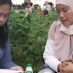 thumbnail-video-1764412388322_169.jpeg