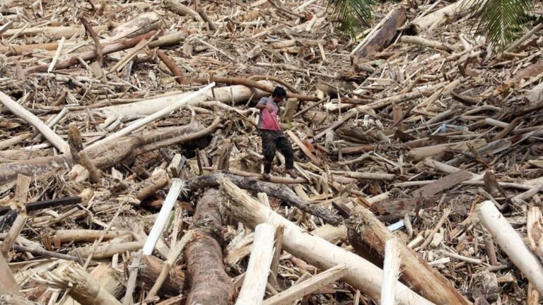 1764885425_kayu-gelondongan-bercerita-kerusakan-hutan-di-tapanuli-selatan-1764478548735_169.jpeg