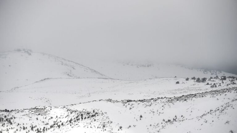 1766843345_1024x576a.jpg