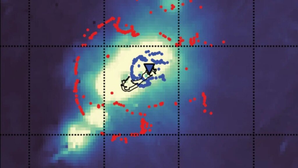 6947e3ea1b3150-47141572.jpeg