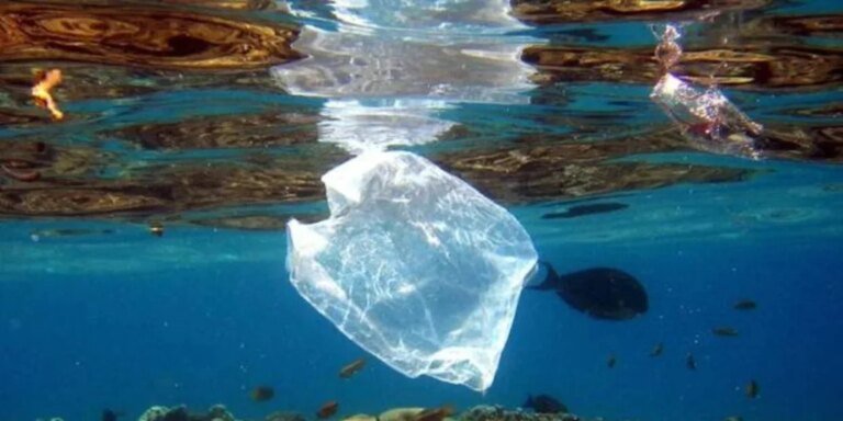 bolsa-plasticvgb-U35807130651hxA-1024x512@diario_abc.jpg