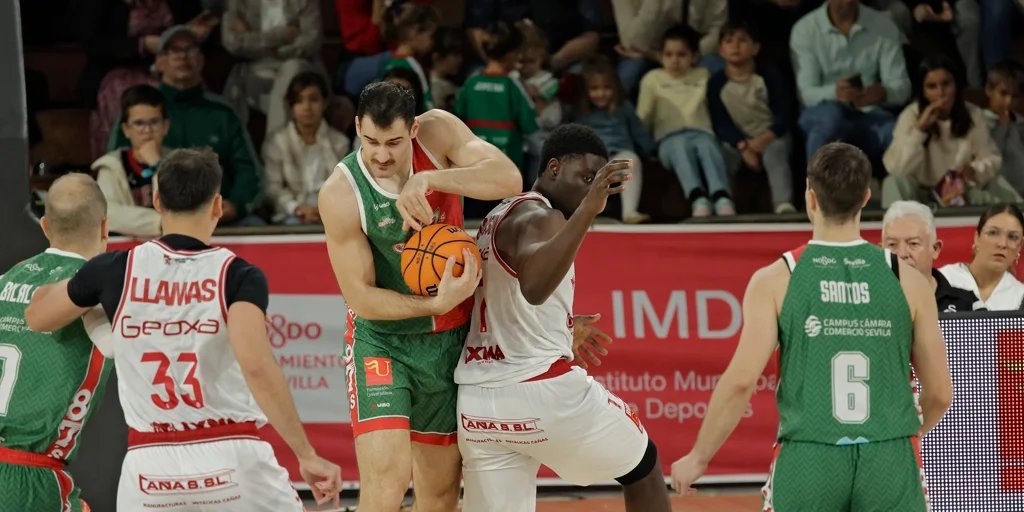 caja87-baloncesto-leonesa-flores-U40603434813hDd-1024x512@diario_abc.jpg