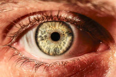 close-up-of-a-light-green-heavily-structured-eye-with-a-dark-ring-around-the-iris.webp