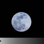 f24aa858-4dca-4777-9b89-d76bd2e087e9_facebook-watermarked-aspect-ratio_default_0.jpg