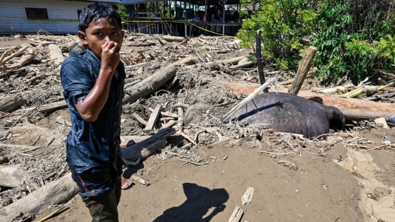 gajah-sumatera-mati-terjepit-gelondongan-kayu-usai-terseret-banjir-aceh-1764556285381_169.jpeg
