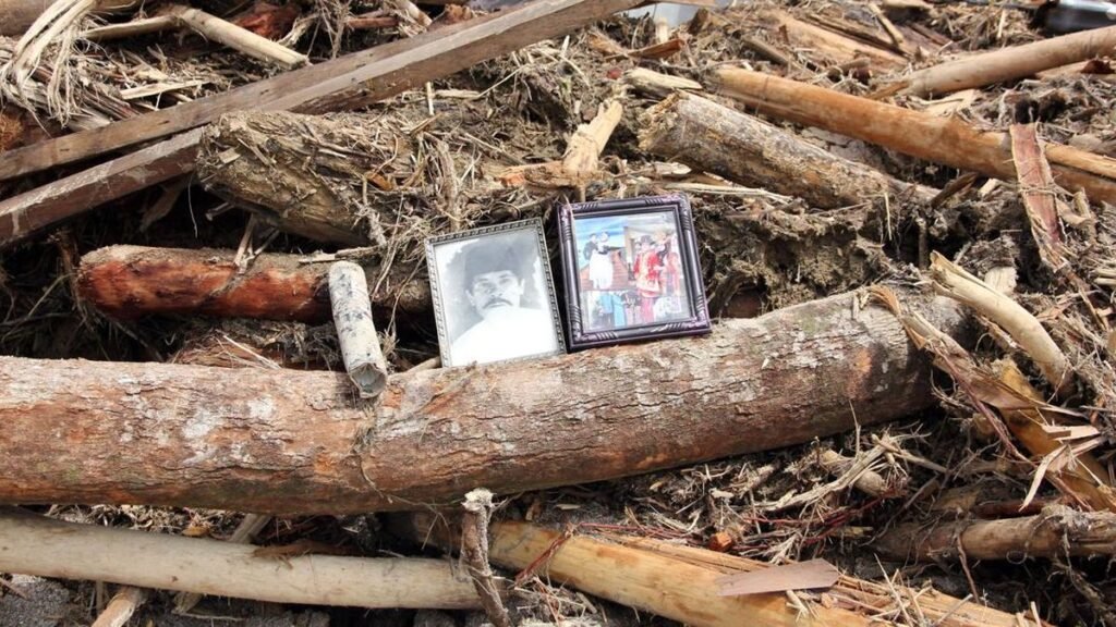 kayu-gelondongan-bercerita-kerusakan-hutan-di-tapanuli-selatan-1764478517030_169.jpeg