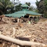 kayu-gelondongan-bercerita-kerusakan-hutan-di-tapanuli-selatan-1764478568681_169.jpeg