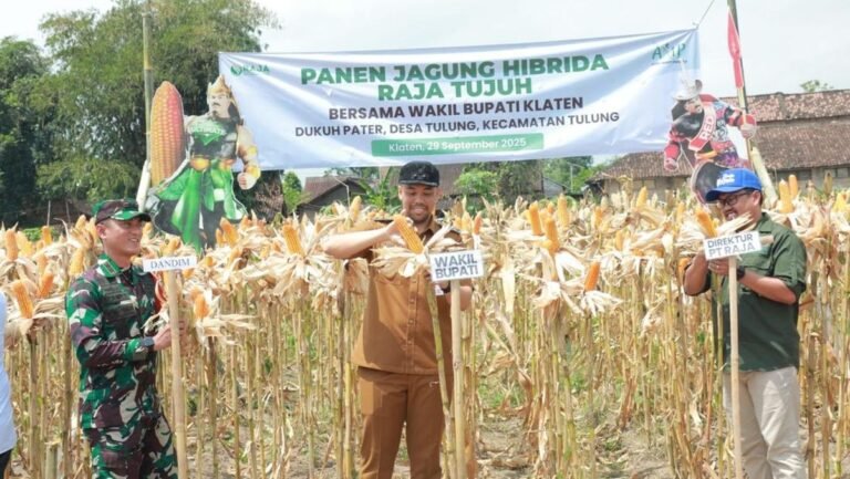 pemkab-klaten-1764941813596_169.jpeg