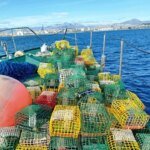 pesca-ilegal-pulpo-U12064307701aPi-1024x512@diario_abc.jpg