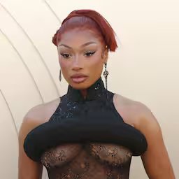 rapper-megan-thee-stallion-wint-rechtszaak-tegen-pestende-youtuber.jpg