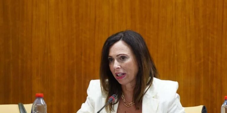 rocio-diaz2-U57640503176kJC-1024x512@diario_abc.jpg