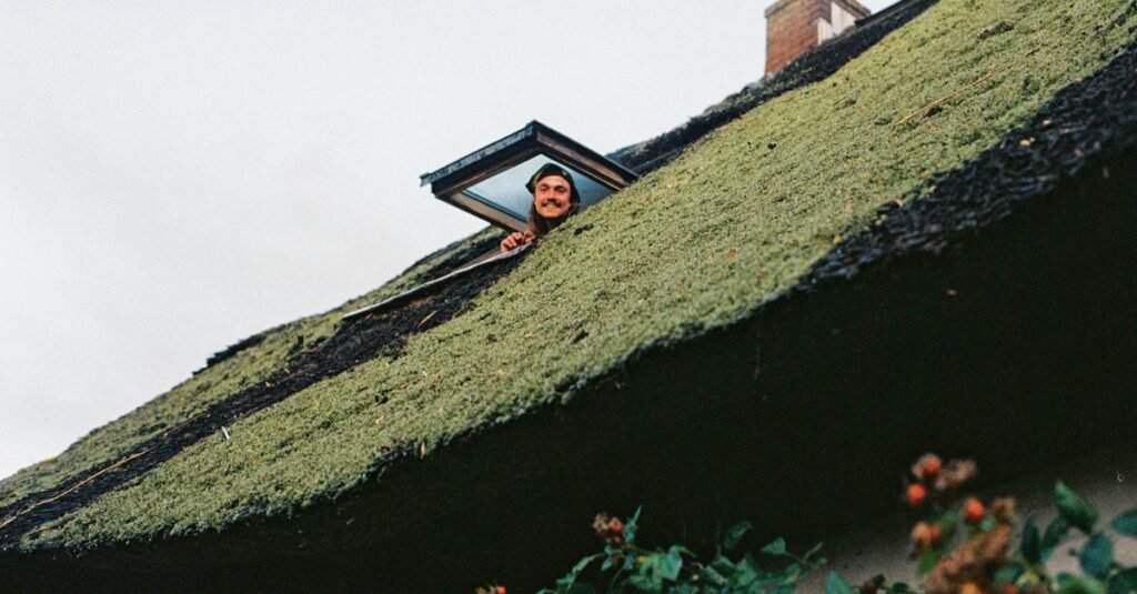 201225WEE_2025463822_Dingemans-4.jpg