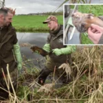 serie-afgekocht-adr-rattenvangers-thijs-schmidt-31-en-wim-van-vliet-41-uit-bergambacht-met-een-gevan.webp