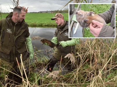 serie-afgekocht-adr-rattenvangers-thijs-schmidt-31-en-wim-van-vliet-41-uit-bergambacht-met-een-gevan.webp