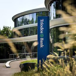triodos-bank-gaat-ruim-250-banen-schrappen-vanwege-kostenbesparingen.jpg