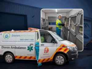 dierenambulance-vianen-en-omstreken-special.webp