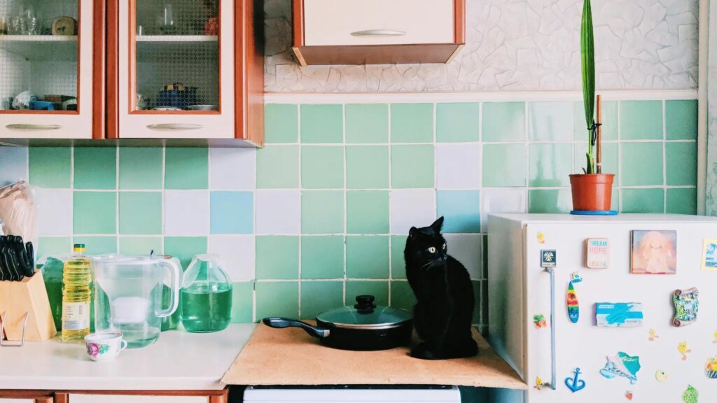 un-gato-sentado-en-la-encimera-de-una-cocina.jpeg