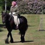 emma-caballo-isabel-U81623401017LCV-1200x630@diario_abc.jpg