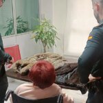 anciana-alicante-U05026371540iDE-1200x630@diario_abc.jpg