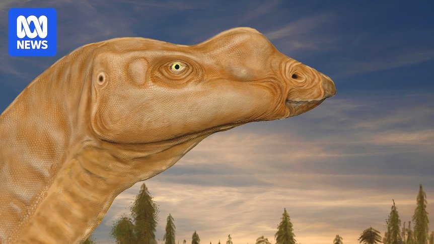 d4f69c25e831b76ee30a3776ad2f452f.jpeg