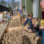 door-het-groeizame-weer-is-er-een-enorme-aardappelberg-waar-boeren-maar-amper-vanaf-komen-daarom-hou.webp