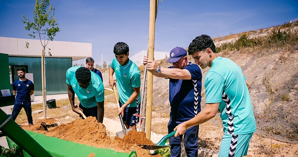 plantacion_RBB_Revel_5-U55103884113uCo-1200x630@diario_abc.jpg
