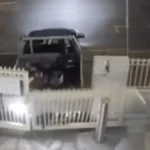 0149c291e8ea3b691b6eaa62953ea5c5.webp