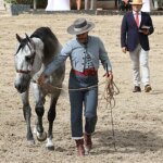 1471689431-U25347423631fHi-1200x630@diario_abc.jpg