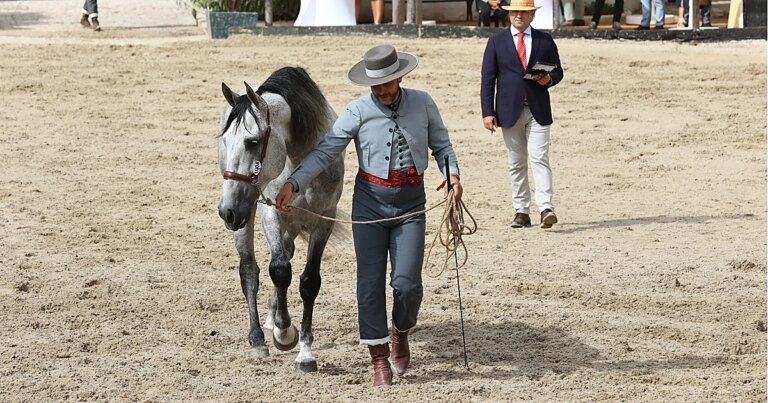 1471689431-U25347423631fHi-1200x630@diario_abc.jpg