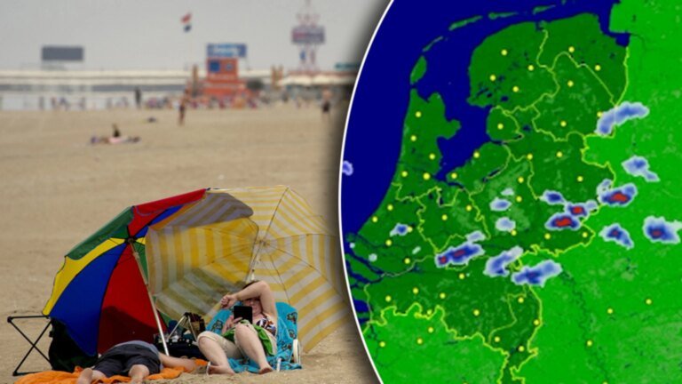 359.jpeg