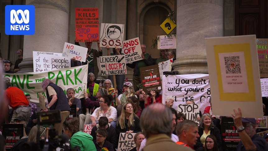 64b025f1fd54477600ef5bbea8aed364.jpeg