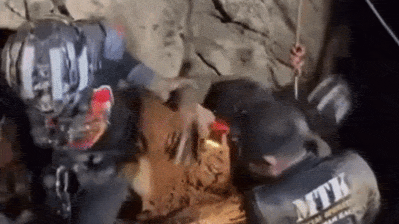 66f08b9d33a44f62a70ce95ca69f18eb88399d724463a0b58c2f51235216aed4.gif
