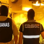 EuropaPress_7514188_agentes_desmantelan_cultivo_indoor_marihuana_dos_hermanas201-U53581132323dGs.webp