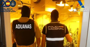 EuropaPress_7514188_agentes_desmantelan_cultivo_indoor_marihuana_dos_hermanas201-U53581132323dGs.webp