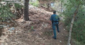SUCESOS-INCENDIO-U05715856567tUD-1200x630@diario_abc.jpg