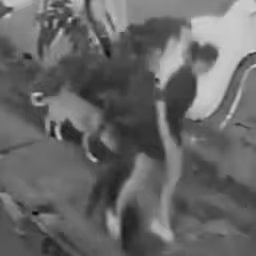 braziliaanse-verdwijnt-plots-in-gat-tijdens-rondje-met-de-hond.jpg