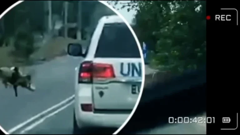 c487af3cba1877942da6780cff358ca811ded332.webp
