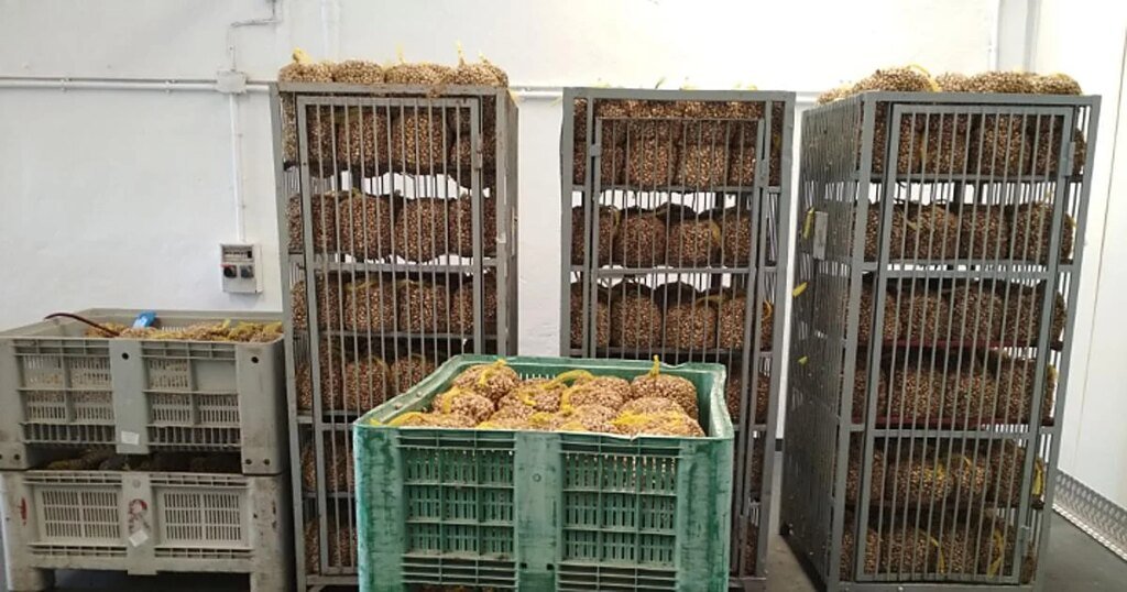caracoles-fabrica-khqF-1200x630@diario_abc.jpg